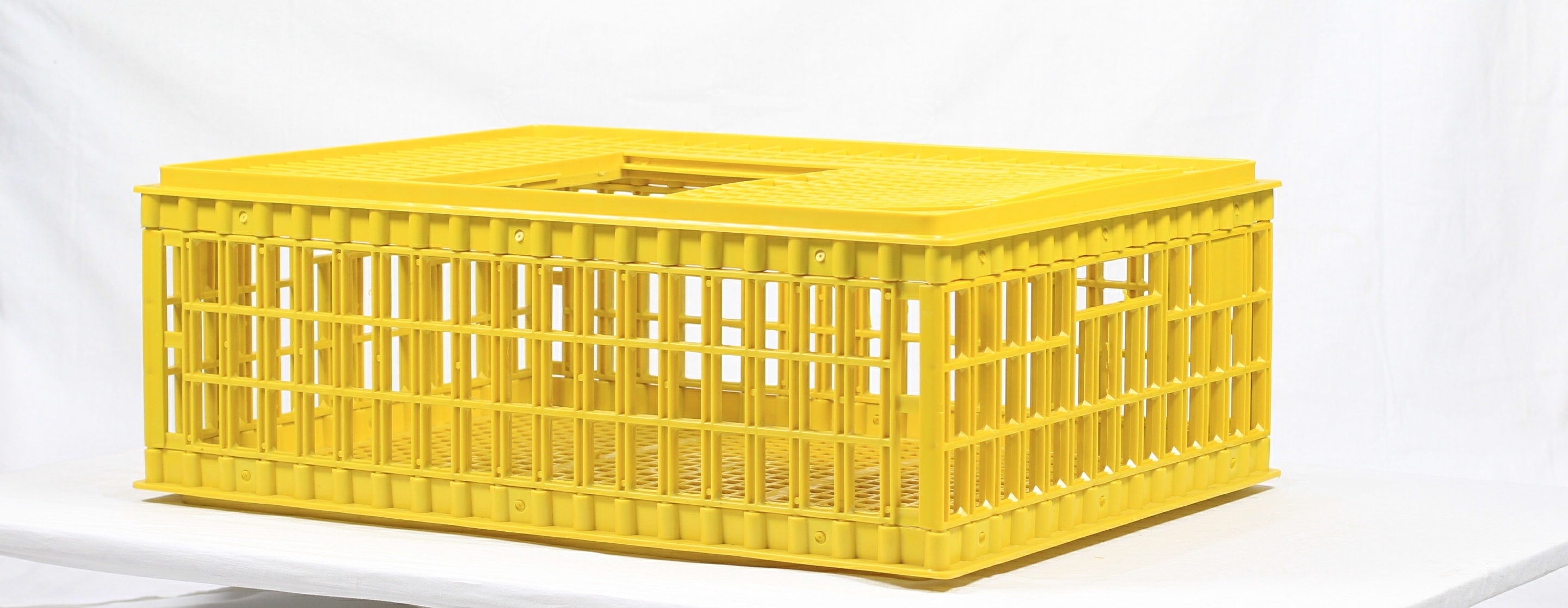 Transport krat voor pluimvee