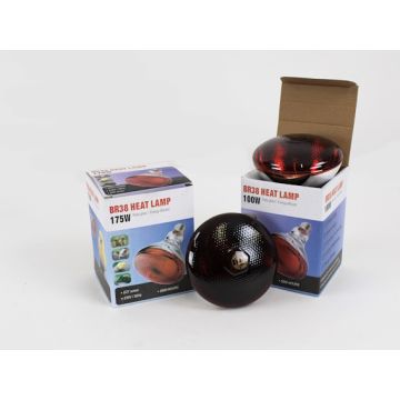 Infrarood straler 100 Watt Rood glas