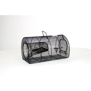 Vangkooi voor meerdere Muizen/Ratten