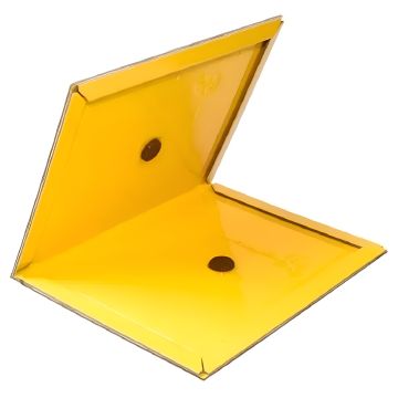 Muizen / Ratten Lijmval