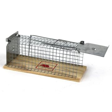 Ratten vangkooi met houten bodem
