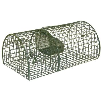 Vangkooi voor meerdere Ratten - Groen