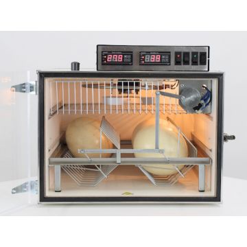 Broedmachine MS50V voor Emoe Nandoe Struisvogel