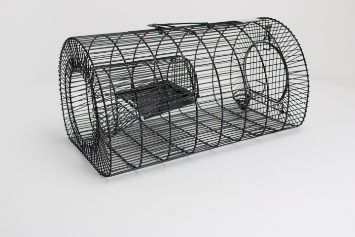 Vangkooi voor meerdere Ratten