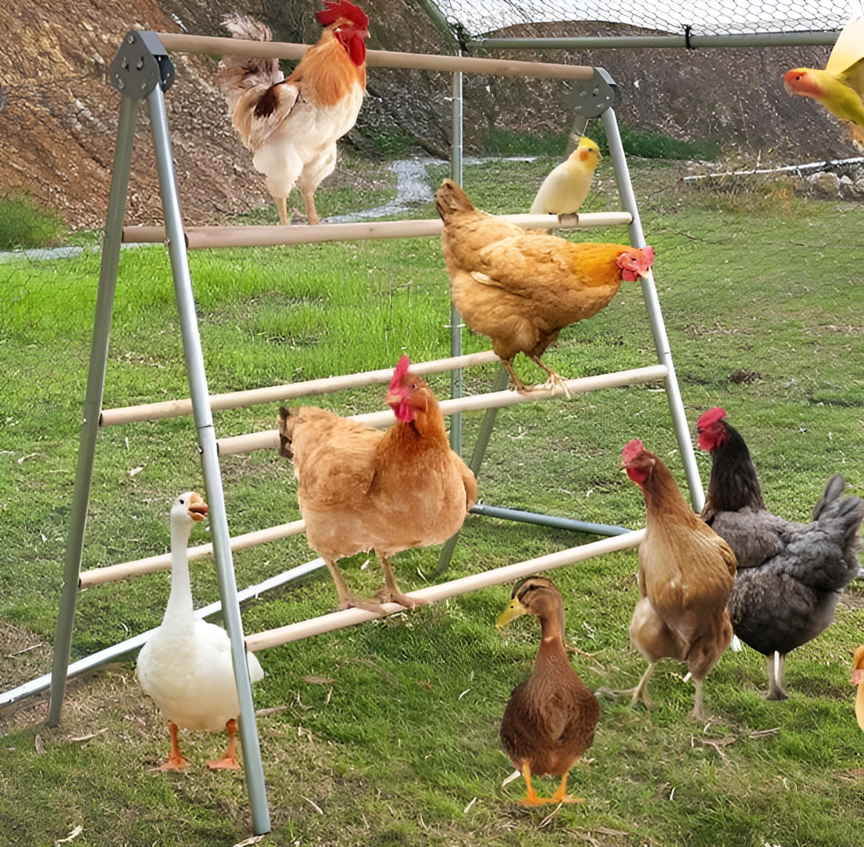 Complete Zitstok set - Dubbel